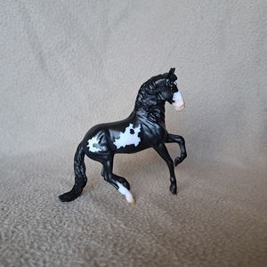 Black Overo Alborozo